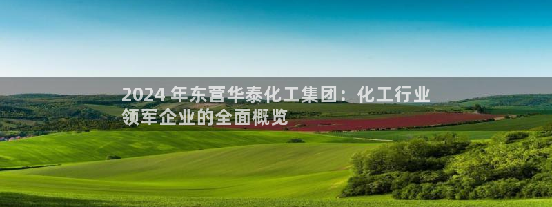 球盟会有没有黑单的人：2024 年东营华泰化工集团：化工行业