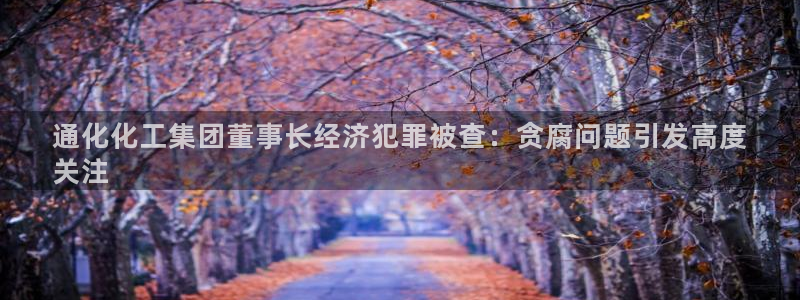 球盟会黑台子吗：通化化工集团董事长经济犯罪被查：贪腐问题引发