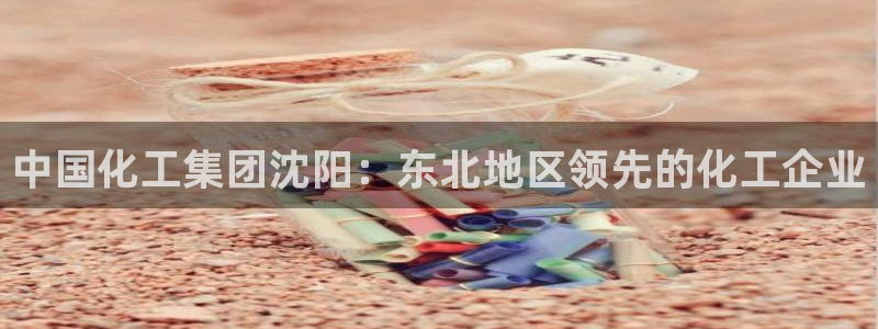 球盟会进不去球员吗：中国化工集团沈阳：东北地区领先的化工企业