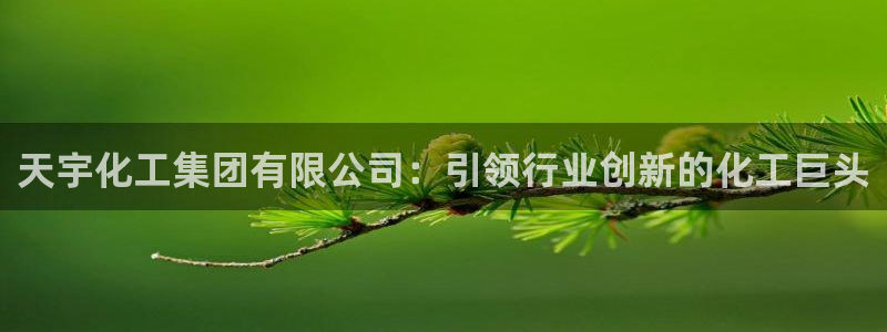 球盟会吧：天宇化工集团有限公司：引领行业创新的化工巨头