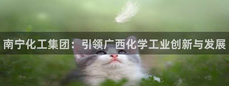 球盟会官方登录平台：南宁化工集团：引领广西化学工业创新与发展