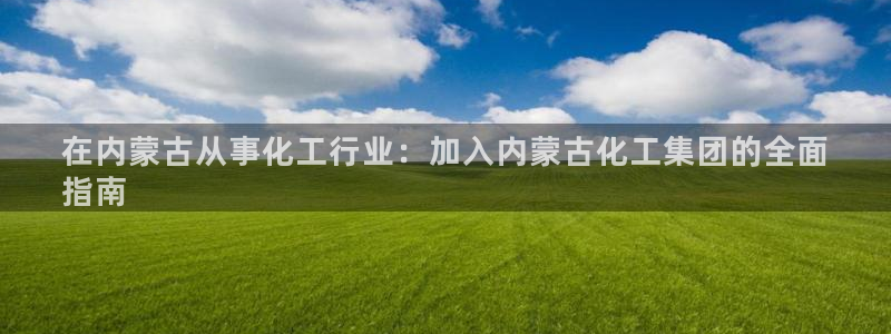 球盟会登录平台：在内蒙古从事化工行业：加入内蒙古化工集团的全