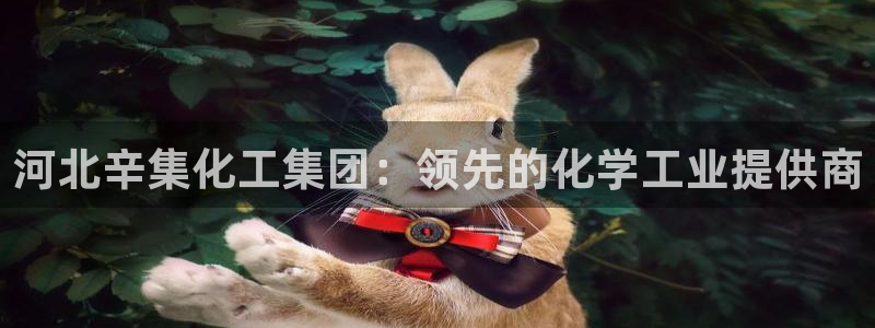 球盟会提款支付宝怎么样：河北辛集化工集团：领先的化学工业提供