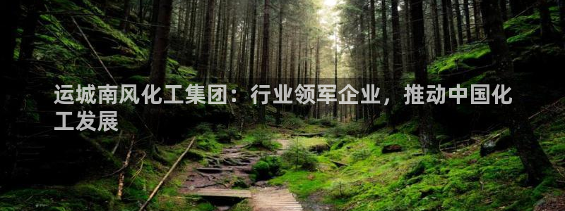 球盟会优惠领取网站：运城南风化工集团：行业领军企业，推动中国