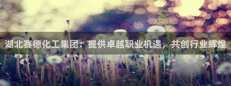 球盟会官方网页登录：湖北赛德化工集团：提供卓越职业机遇，共创