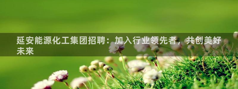 球盟会官方网站是什么：延安能源化工集团招聘：加入行业领先者，