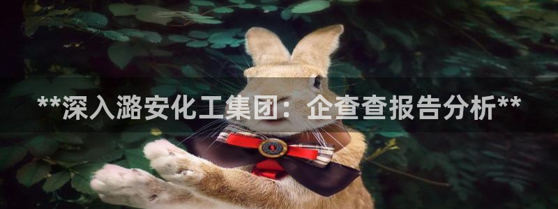 球盟会能退钱吗知乎：**深入潞安化工集团：企查查报告分析**