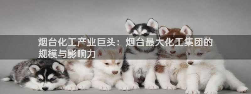 球盟会进不去吗：烟台化工产业巨头：烟台最大化工集团的
规模与
