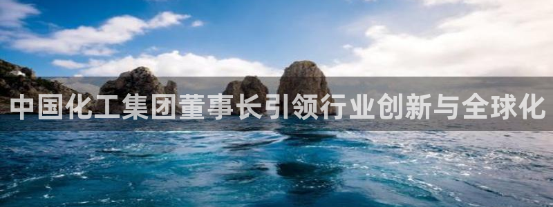 球盟会官方：中国化工集团董事长引领行业创新与全球化