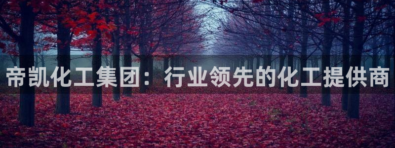 球盟会网址：帝凯化工集团：行业领先的化工提供商