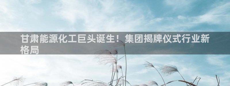 球盟会里面有打牌的嘛知乎：甘肃能源化工巨头诞生！集团揭牌仪式