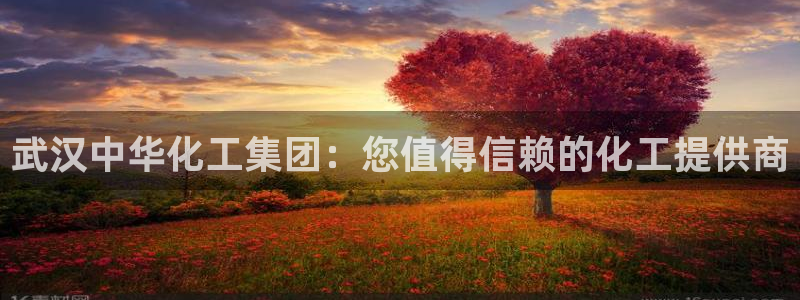 球盟会APP下载：武汉中华化工集团：您值得信赖的化工提供商
