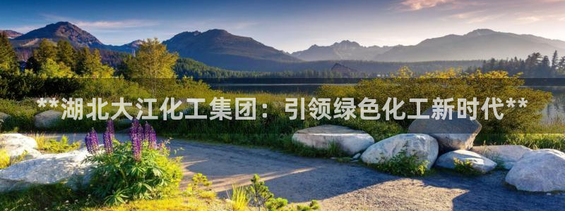球盟会官方入口：**湖北大江化工集团：引领绿色化工新时代**