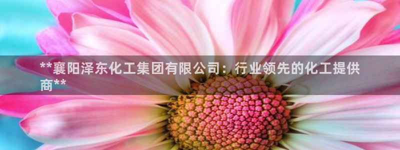 球盟会可以提现么是真的吗：**襄阳泽东化工集团有限公司：行业