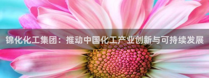 球盟会娱乐平台：锦化化工集团：推动中国化工产业创新与可持续发