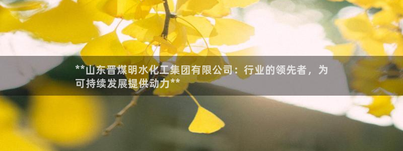 球盟会体育平台：**山东晋煤明水化工集团有限公司：行业的领先
