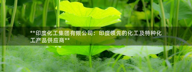 球盟会中国官方网站：**印度化工集团有限公司：印度领先的化工