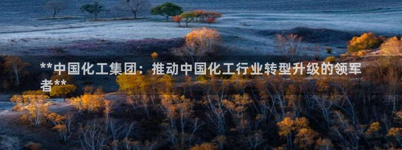 球盟会官方最新入口：**中国化工集团：推动中国化工行业转型升