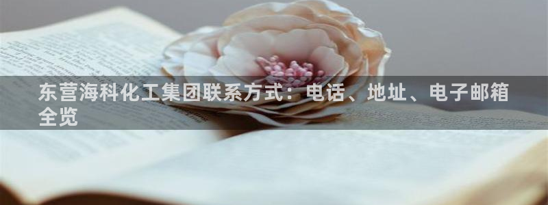 球盟会qmh网址：东营海科化工集团联系方式：电话、地址、电子
