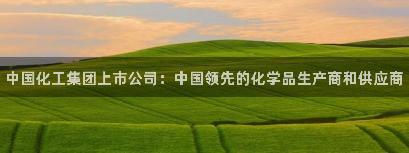 球盟会可以提现么是真的吗：中国化工集团上市公司：中国领先的化