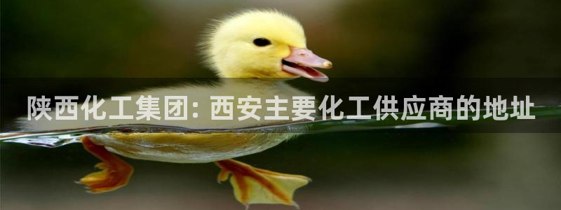 球盟会官方版下载地址：陕西化工集团: 西安主要化工供应商的地