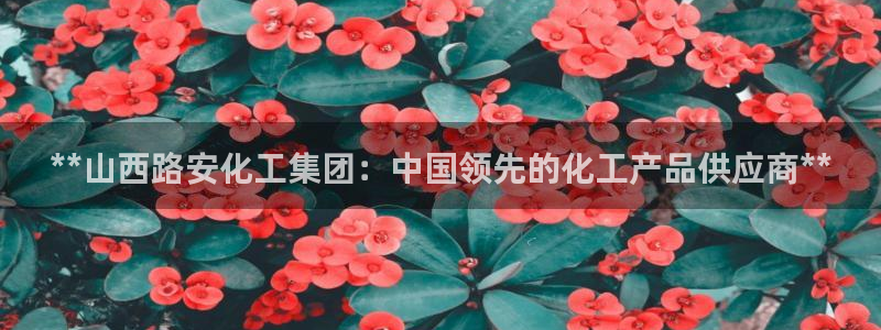 球盟会官方版下载地址：**山西路安化工集团：中国领先的化工产