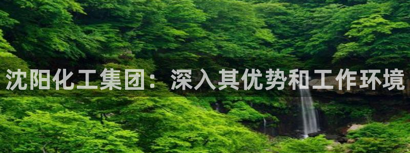 球盟会类似的网站：沈阳化工集团：深入其优势和工作环境