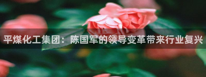 球盟会体验金：平煤化工集团：陈国军的领导变革带来行业复兴