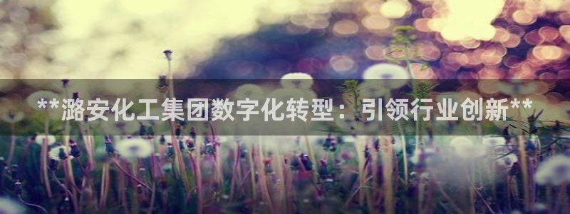 球盟会登录平台入口：**潞安化工集团数字化转型：引领行业创新