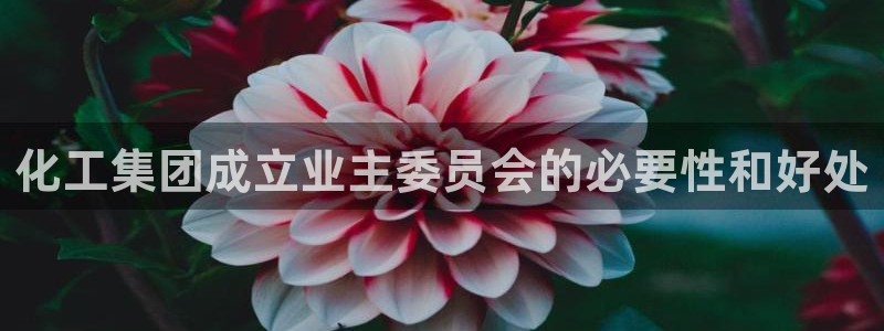 球盟会电子游戏平台：化工集团成立业主委员会的必要性和好处