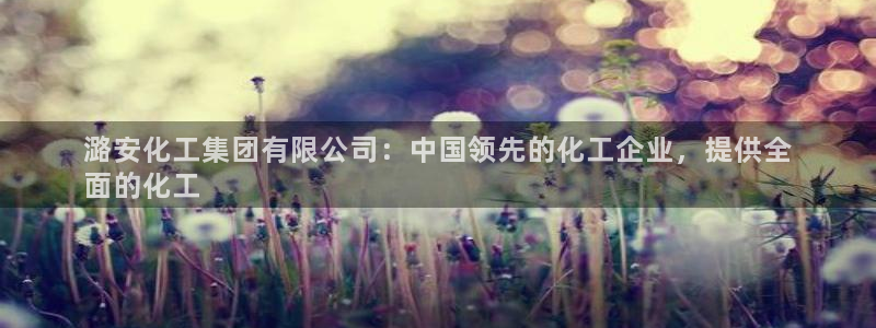 球盟会中国网页登录：潞安化工集团有限公司：中国领先的化工企业