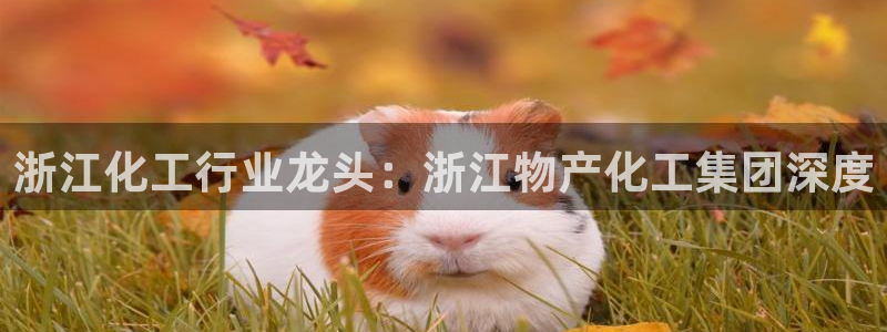 球盟会黑网：浙江化工行业龙头：浙江物产化工集团深度