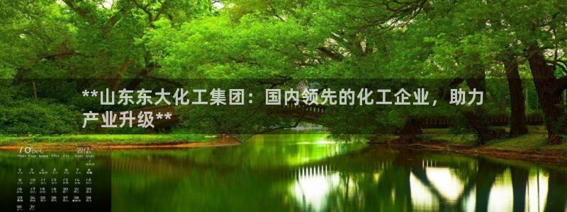 球盟会官方最新入口：**山东东大化工集团：国内领先的化工企业