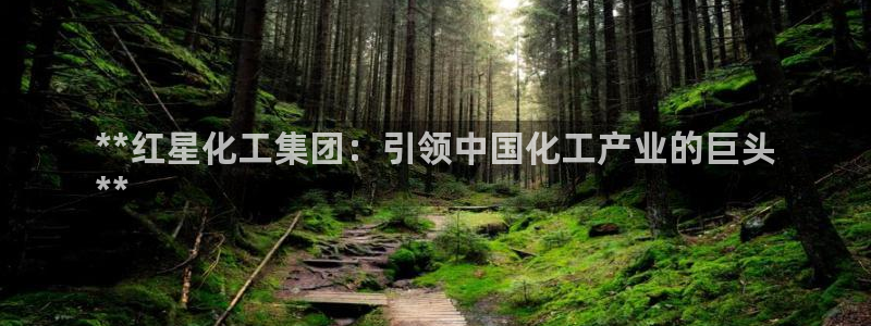 球盟会官方客服：**红星化工集团：引领中国化工产业的巨头
*