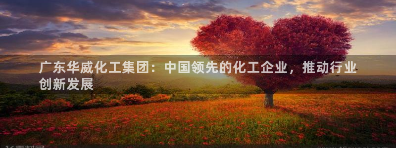 球盟会和中欧：广东华威化工集团：中国领先的化工企业，推动行业