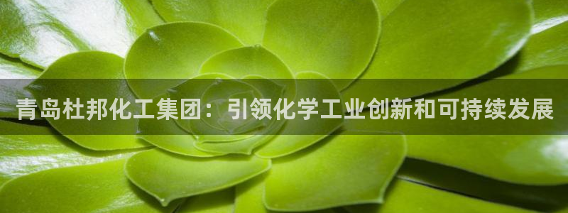 球盟会App：青岛杜邦化工集团：引领化学工业创新和可持续发展