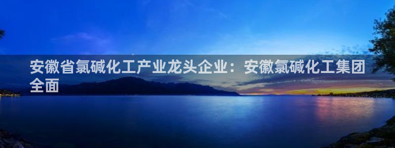 球盟会黑款吗：安徽省氯碱化工产业龙头企业：安徽氯碱化工集团
