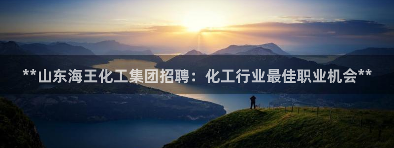 球盟会邮箱：**山东海王化工集团招聘：化工行业最佳职业机会*