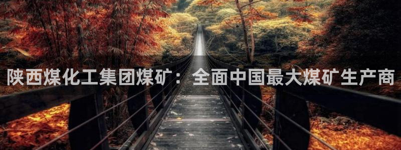球盟会黑台子：陕西煤化工集团煤矿：全面中国最大煤矿生产商