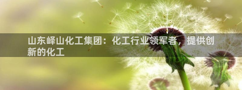 球盟会电子游戏平台：山东峄山化工集团：化工行业领军者，提供创