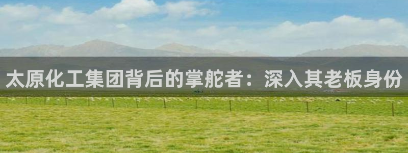 球盟会qmh网址：太原化工集团背后的掌舵者：深入其老板身份