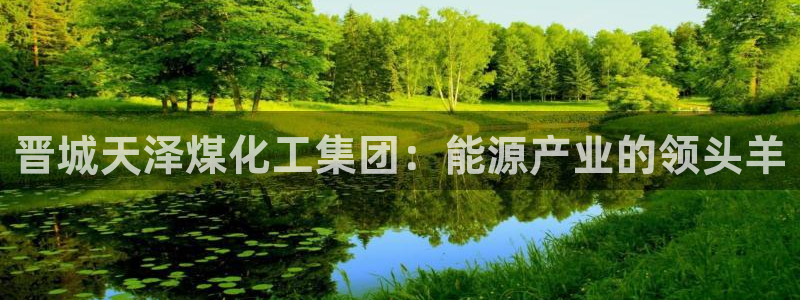 球盟会官网登录入口：晋城天泽煤化工集团：能源产业的领头羊