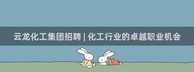 球盟会官方网站入口：云龙化工集团招聘 | 化工行业的卓越职业