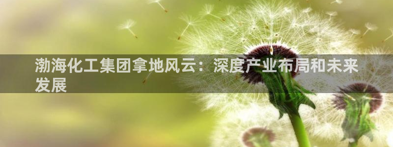 球盟会邮箱：渤海化工集团拿地风云：深度产业布局和未来
发展
