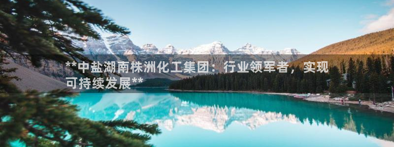 球盟会体验金：**中盐湖南株洲化工集团：行业领军者，实现
可