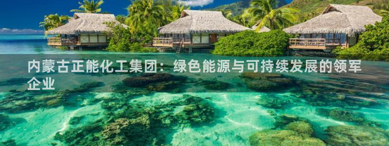 球盟会国际官网：内蒙古正能化工集团：绿色能源与可持续发展的领