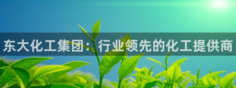 球盟会qmh电子网页版登录：东大化工集团：行业领先的化工提供