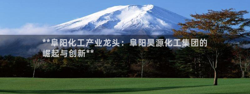 球盟会最新活动：**阜阳化工产业龙头：阜阳昊源化工集团的
崛