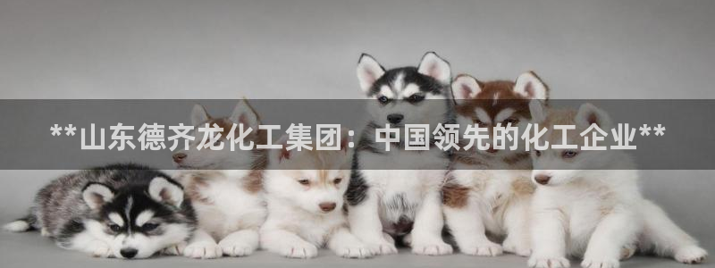 球盟会黑嘛：**山东德齐龙化工集团：中国领先的化工企业**