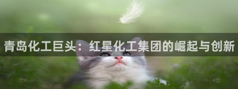 球盟会里面有打牌的嘛：青岛化工巨头：红星化工集团的崛起与创新